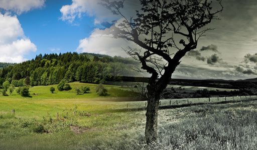 Man in biohazard suit standing on grey grass looking at green hills