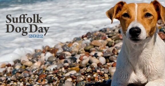 Get Happy at the Pound Gates Happy Hub at Suffolk Dog Day