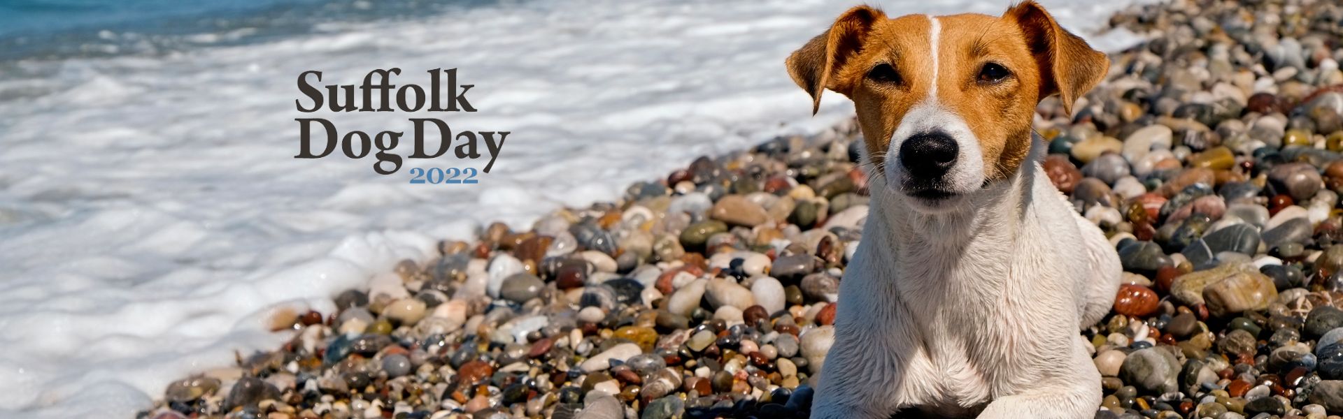 Get Happy at the Pound Gates Happy Hub at Suffolk Dog Day