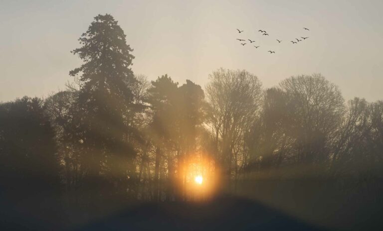 APA_Risky Business Breakfast_031